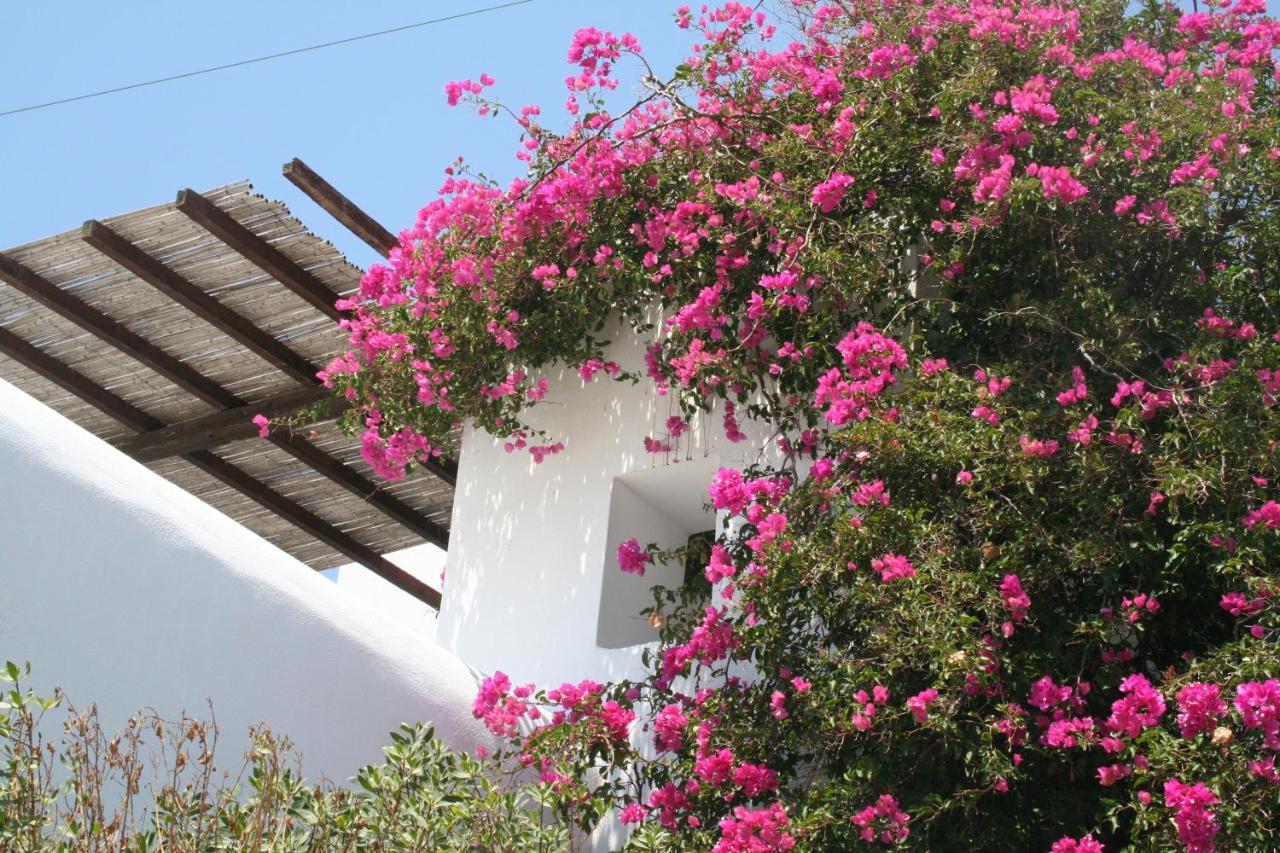 Petra Holiday Village Иос Хора Екстериор снимка